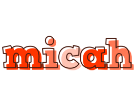 Micah paint logo