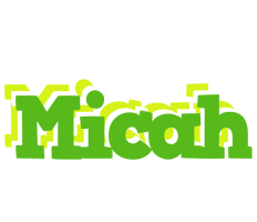 Micah picnic logo