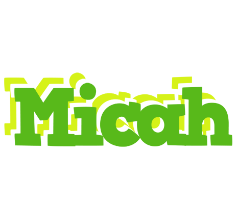 Micah picnic logo