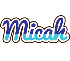 Micah raining logo