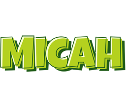 Micah summer logo