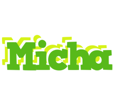 Micha picnic logo