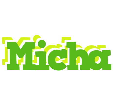 Micha picnic logo