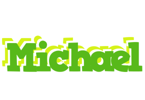 Michael picnic logo