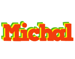 Michal bbq logo