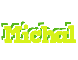 Michal citrus logo