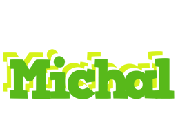 Michal picnic logo