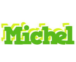 Michel picnic logo