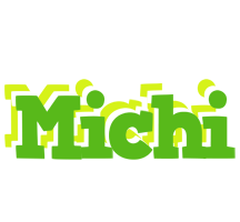 Michi picnic logo