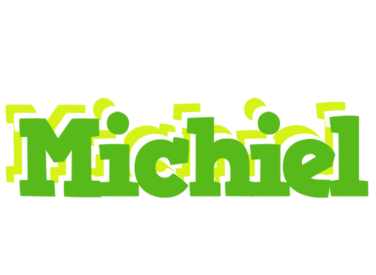 Michiel picnic logo