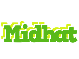 Midhat picnic logo