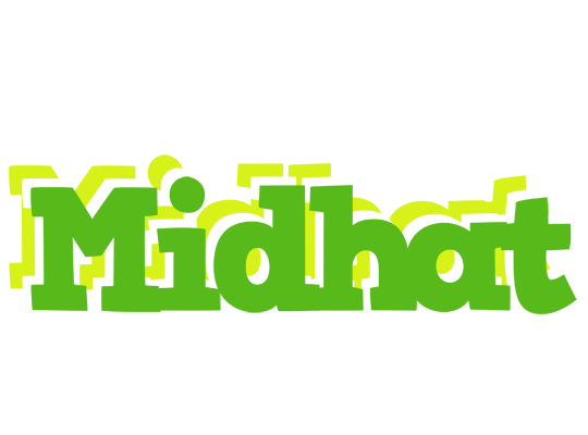 Midhat picnic logo
