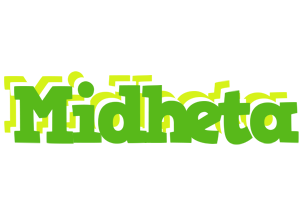 Midheta picnic logo