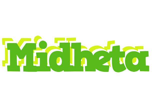 Midheta picnic logo
