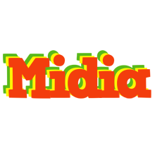 Midia bbq logo