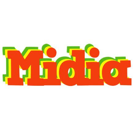Midia bbq logo