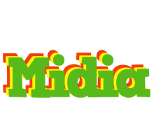 Midia crocodile logo