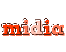 Midia paint logo