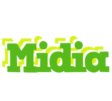 Midia picnic logo