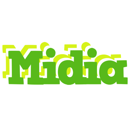 Midia picnic logo