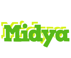 Midya picnic logo