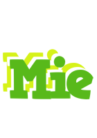 Mie picnic logo