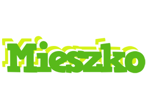 Mieszko picnic logo