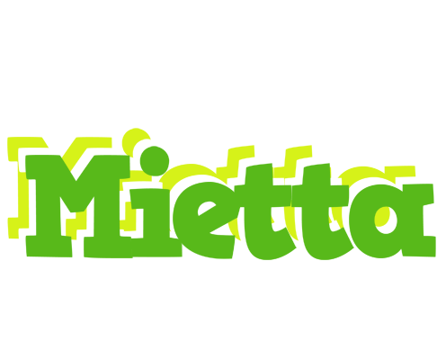 Mietta picnic logo