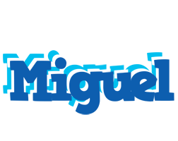 Miguel business logo