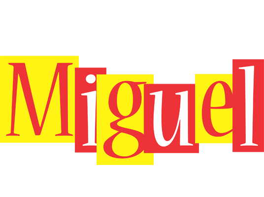 Miguel errors logo