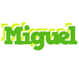 Miguel picnic logo