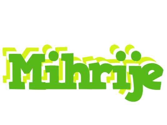 Mihrije picnic logo