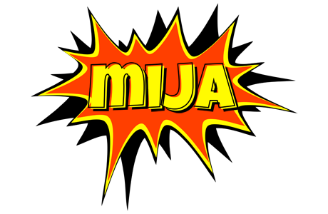 Mija bazinga logo