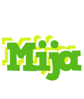 Mija picnic logo