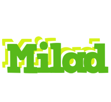 Milad picnic logo