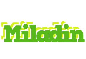 Miladin picnic logo