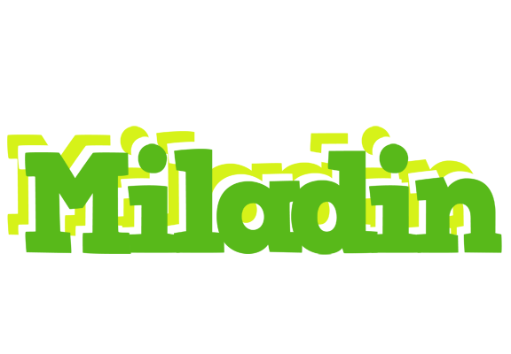 Miladin picnic logo