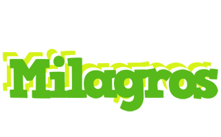 Milagros picnic logo