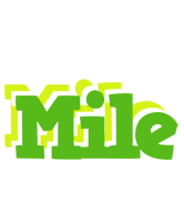 Mile picnic logo