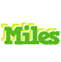 Miles picnic logo