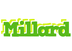 Millard picnic logo