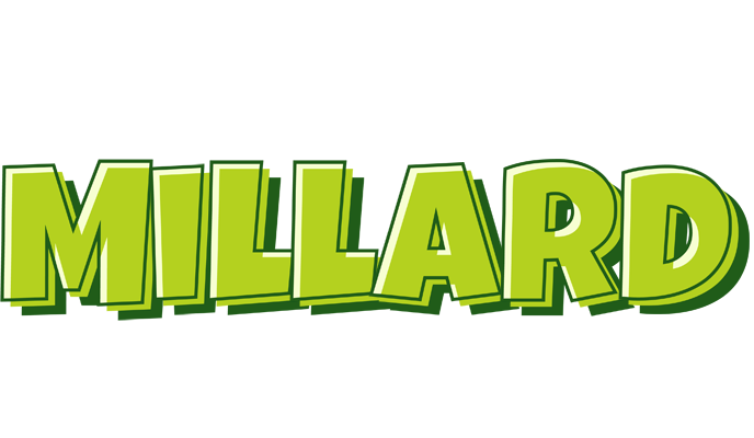 Millard summer logo