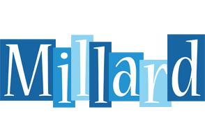 Millard winter logo