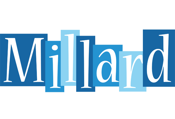 Millard winter logo
