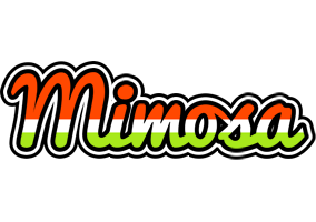 Mimosa exotic logo