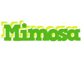 Mimosa picnic logo