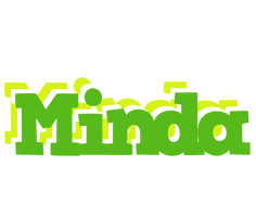 Minda picnic logo