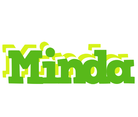 Minda picnic logo