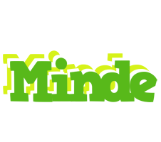 Minde picnic logo