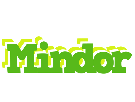 Mindor picnic logo
